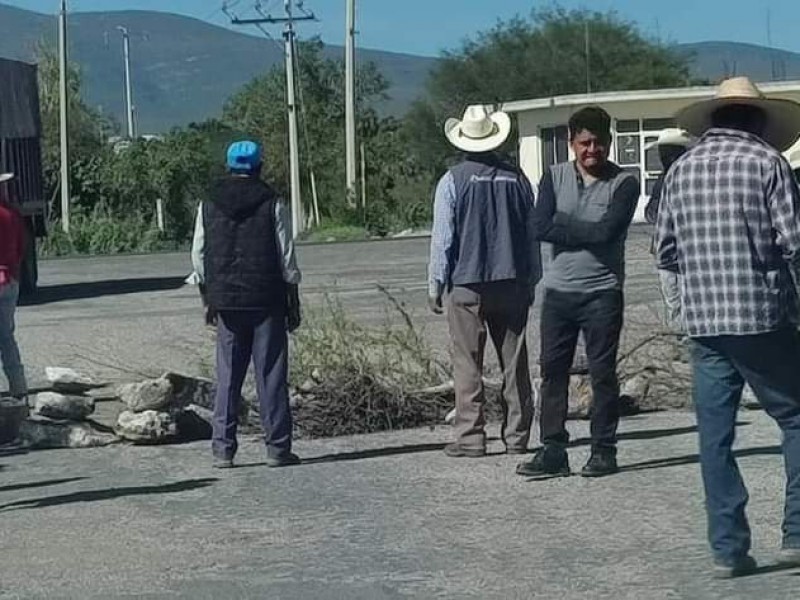 24hrs granjas bloqueadas: desabasto de huevo y gallinas en riesgo