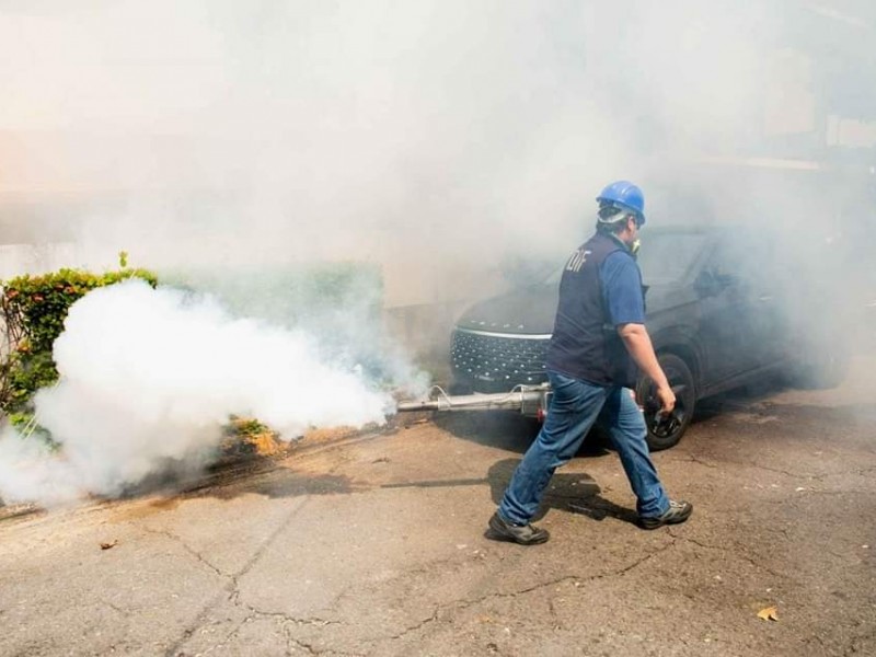 25 casos de dengue al día en zona conurbada:FAICIC