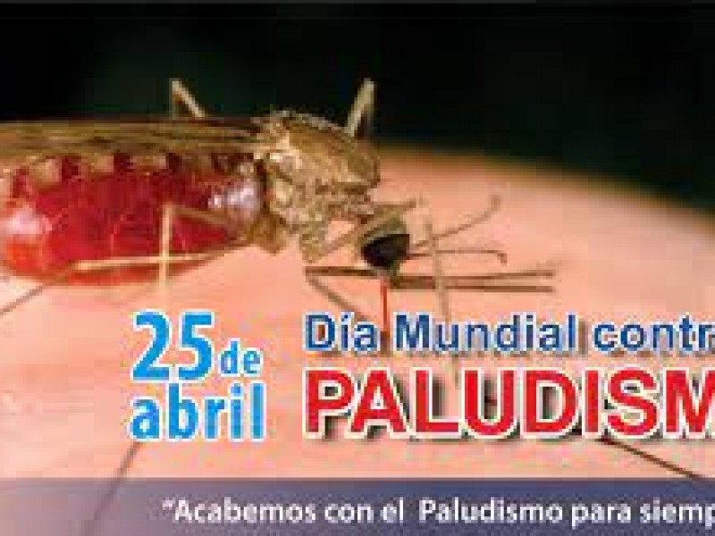 25 de abril, día mundial del paludismo