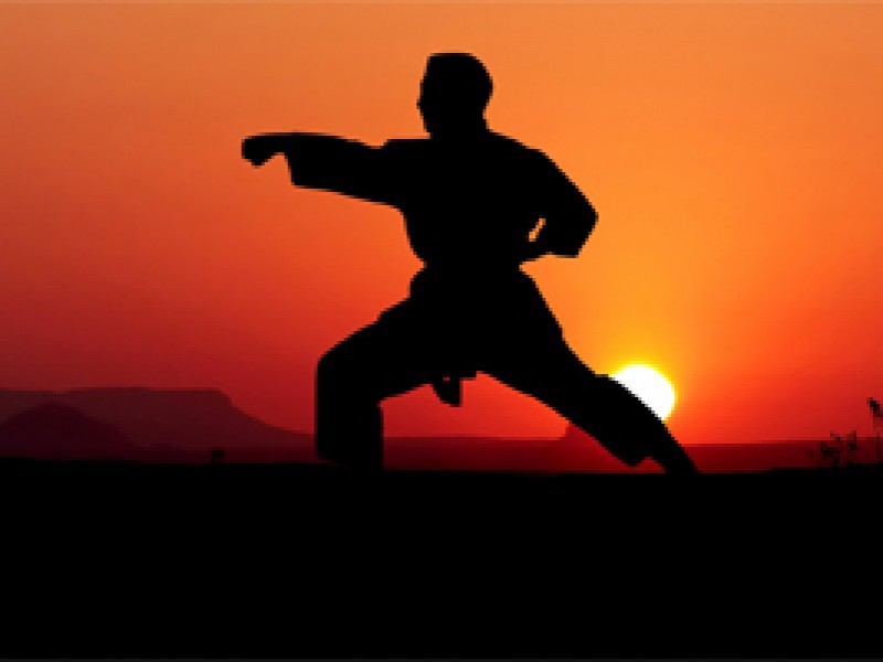 25 de Octubre, día mundial del karate