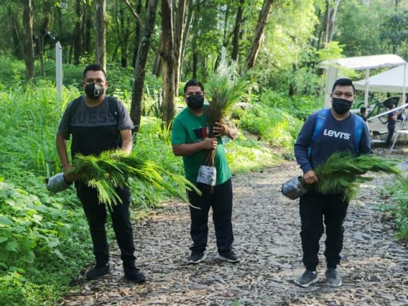 25 mil árboles fueron plantados en cerro de San Juan