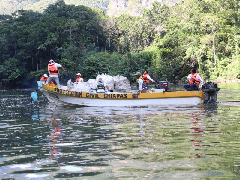 25 mil toneladas de basura recogidas del Cañón del Sumidero