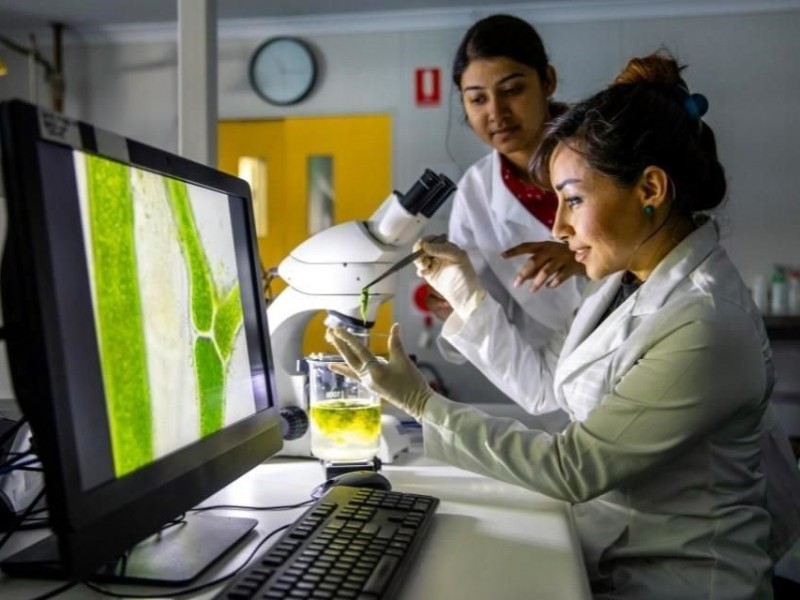 '25 Mujeres en la Ciencia' impulsa talento femenino