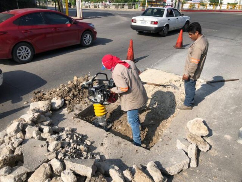 250 baches se atienden a la semana en Tuxtla Gutiérrez