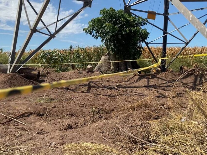 26 cuerpos regresan con su familia después de 6 años de esperar