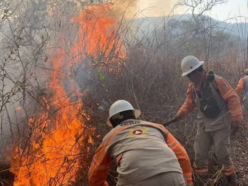 26 incendios forestales devastan más de 6mil hectáreas