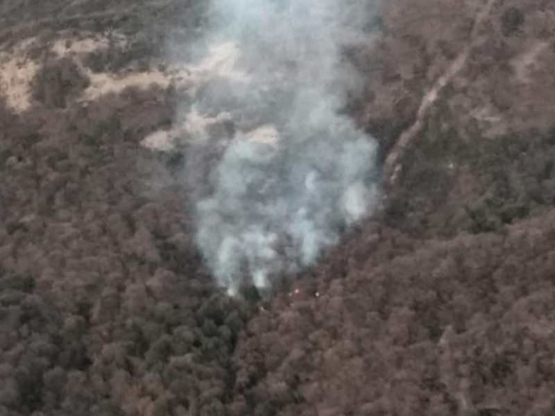 260 hectáreas se han consumido en la Sierra Fría.