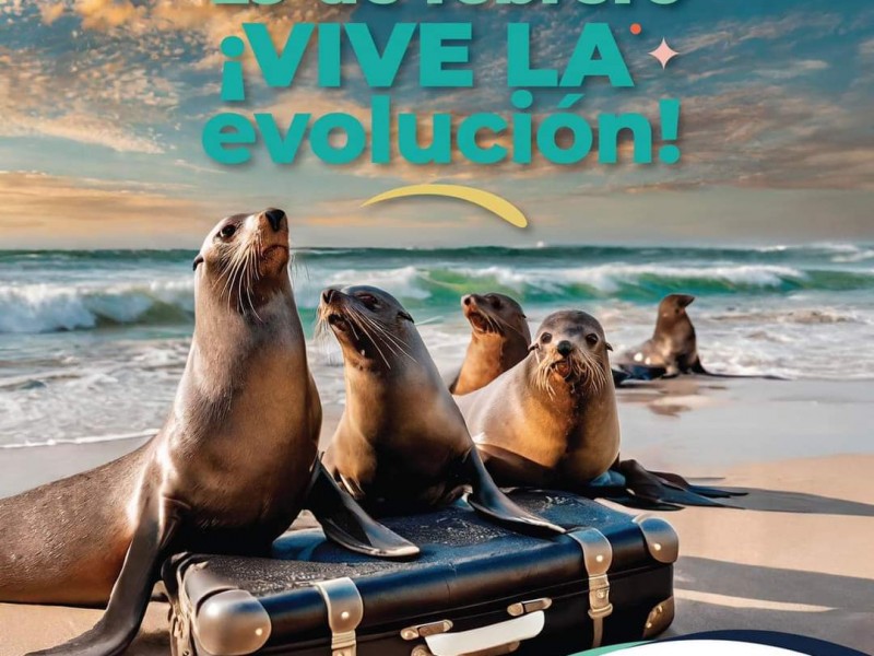 29 de febrero llegan los lobos marinos al Aquarium