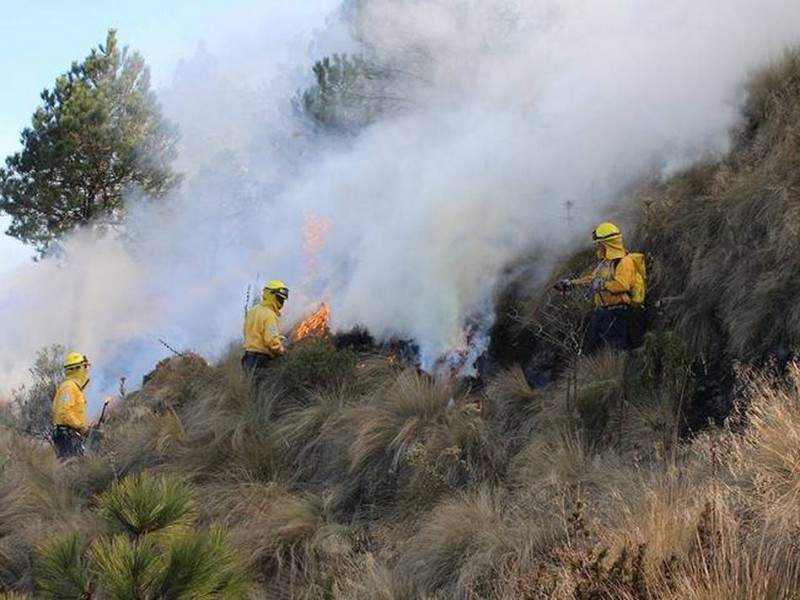 29 incendios ha tenido 2024, 20 aún estan activos