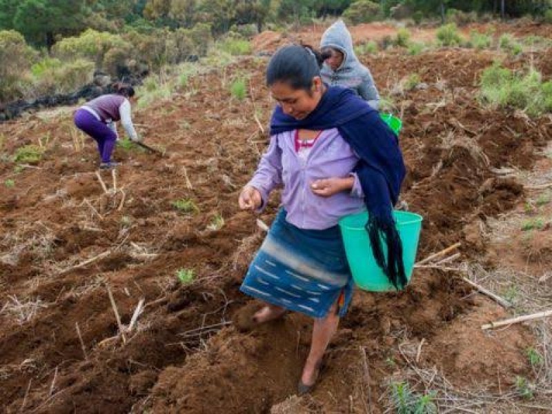 290 localidades nayaritas reciben apoyo millonario de programa 