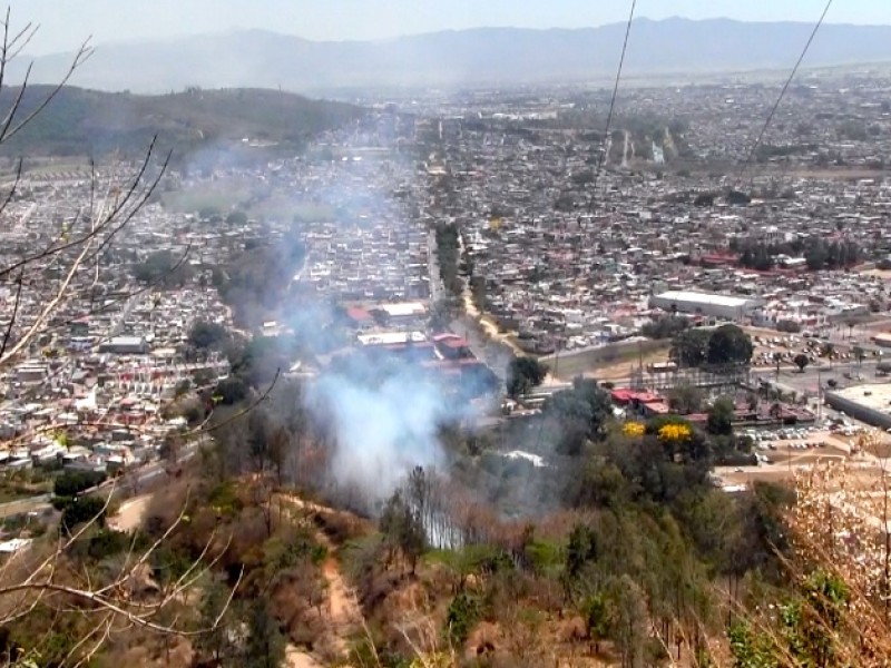 295 hectáreas han sido afectadas por incendios forestales en Tepic