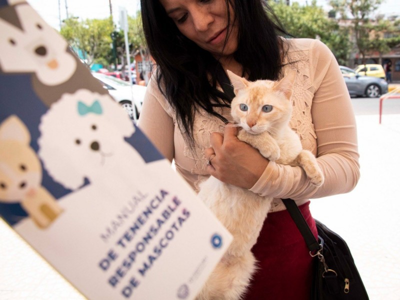 2X1 en esterilización a gatos machos en junio