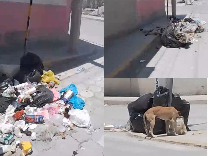 3 colonias más sin recolección de basura