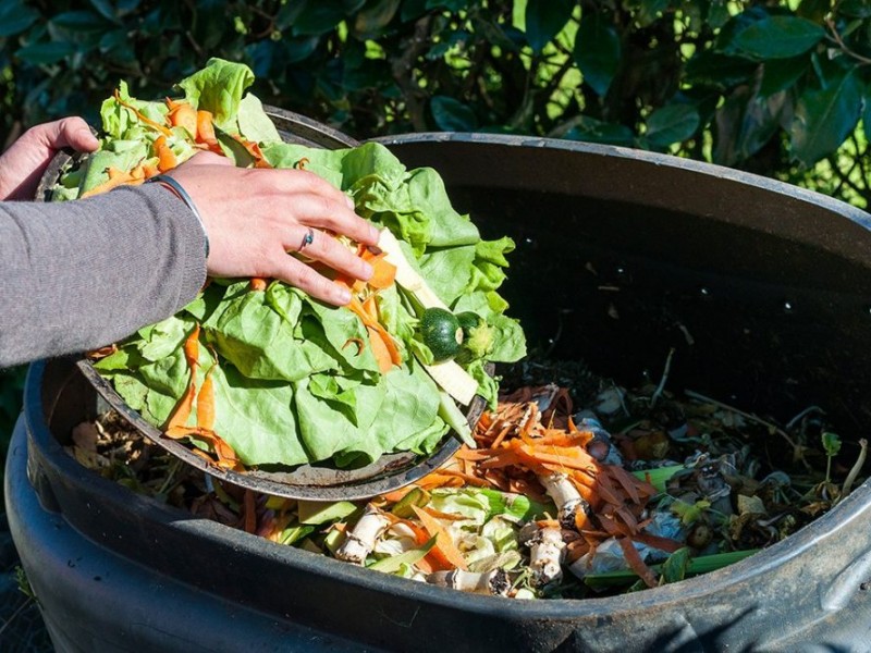 3 millones de alimentos se desperdician al mes en Chiapas