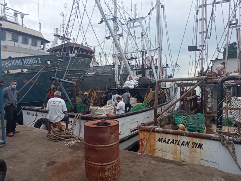 30% de barcos camaroneros en altamar,captura muy baja en Mazatlán