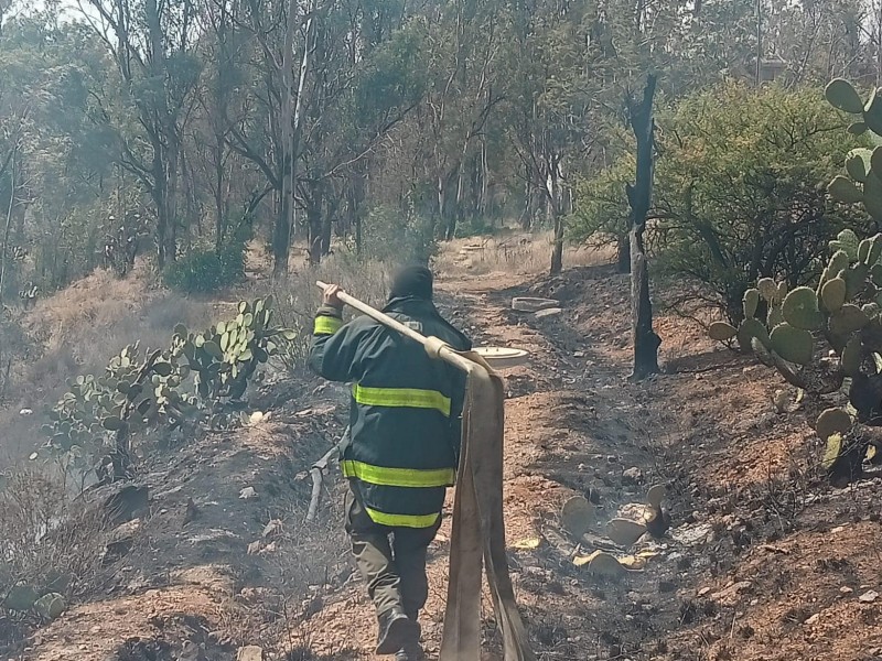 30 incendios durante 2024 en zona de Zacatecas: PC