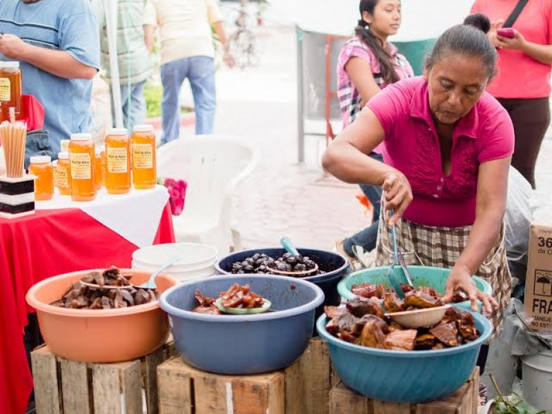 300 espacios para Plaza de Todos Santos