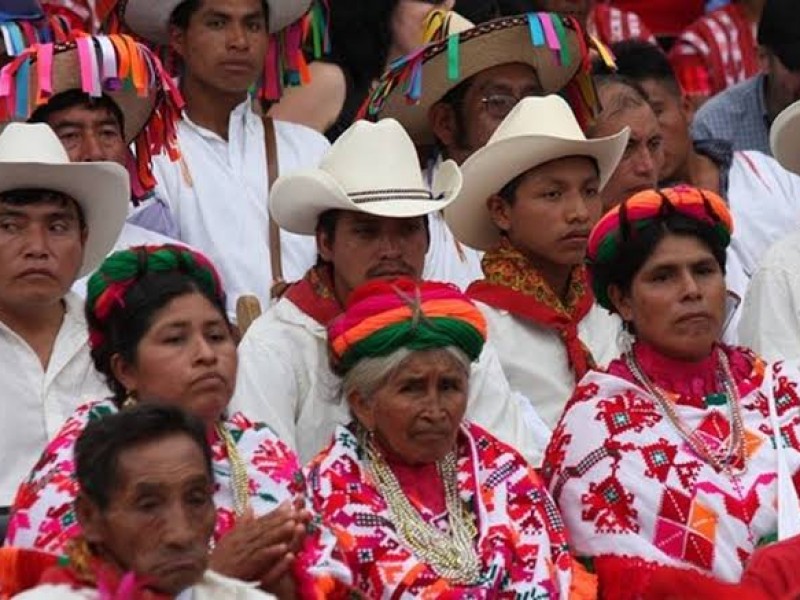 31.2% de la población en Oaxaca habla alguna lengua indígena