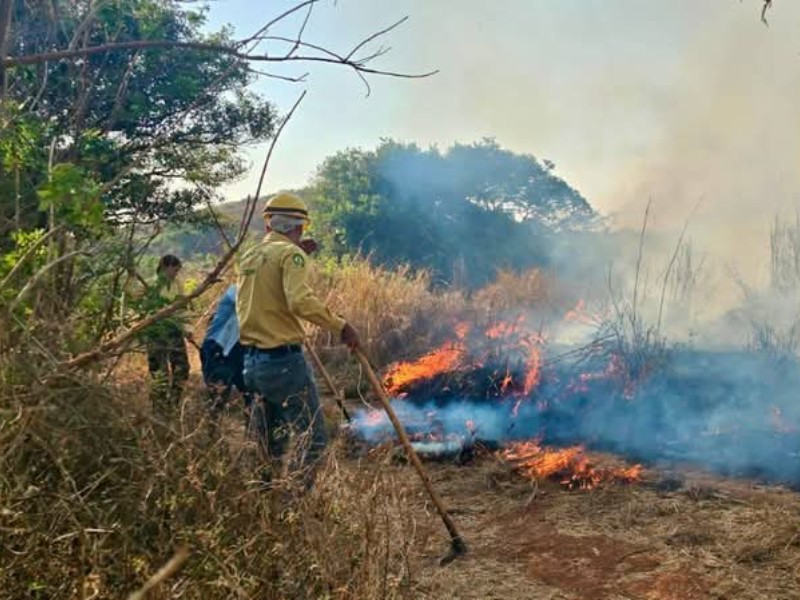32 mil hectáreas han sido siniestradas por incendios en Nayarit
