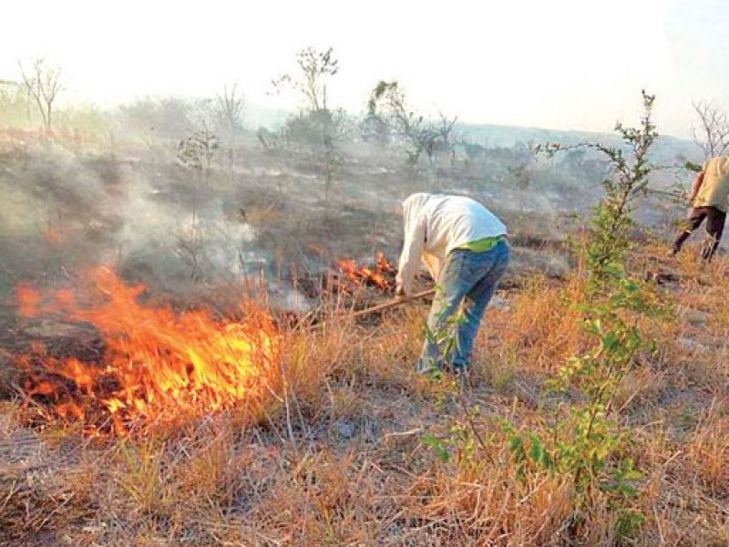 335 incendios forestales en lo que va del año
