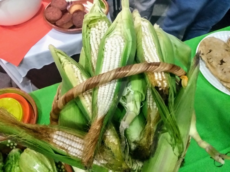 34 feria del elote en Cocotitlán.