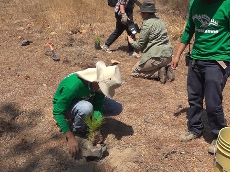 350 árboles fueron plantados en el Bosque de la Primavera