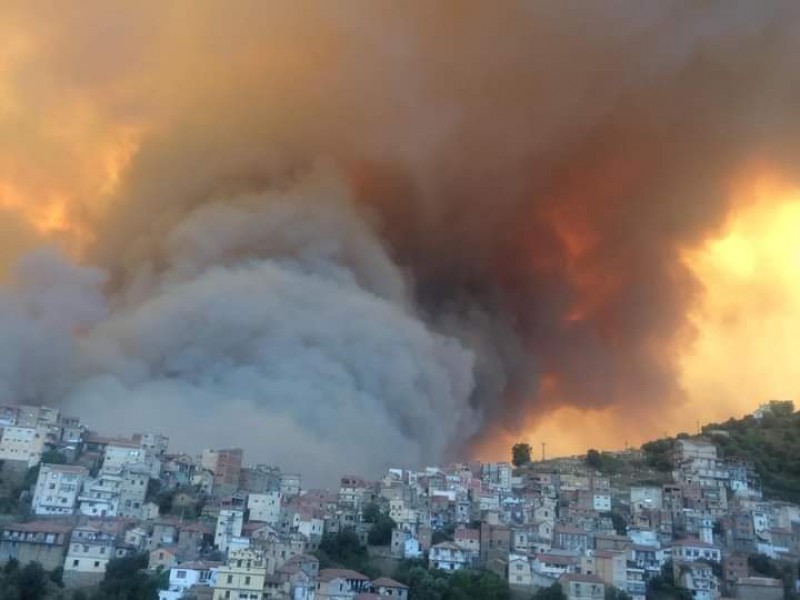 38 muertos tras tras incendios en Argelia