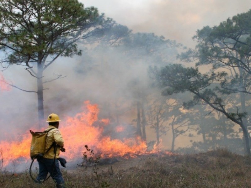 382 hectáreas se han consumido por incendios en Chiapas