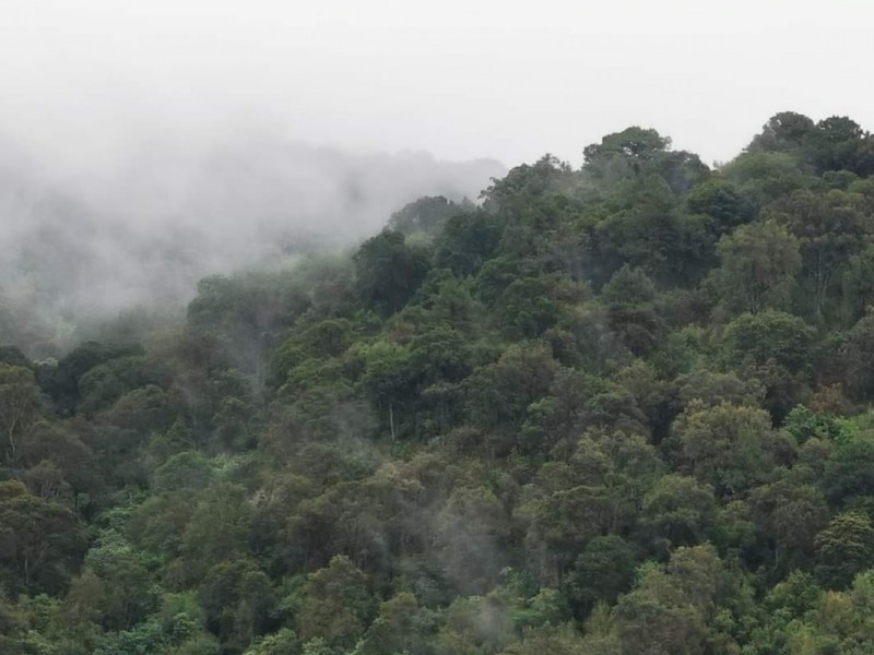 4 de cada 10 mexiquenses vulnerables a las bajas temperaturas