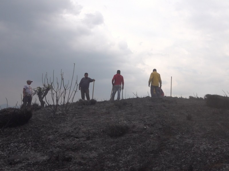 4 días de incendio en bosques de Santiago Analco, Lerma