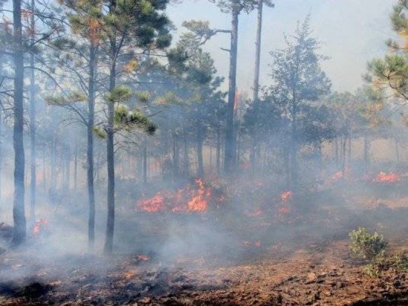 Reporta PC 4 incendios forestales activos