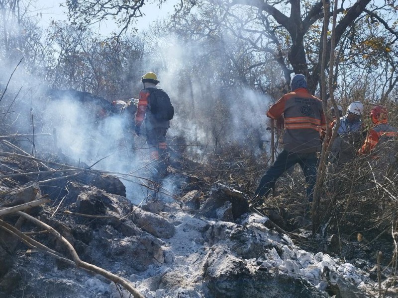 4 incendios forestales activos en Chiapas