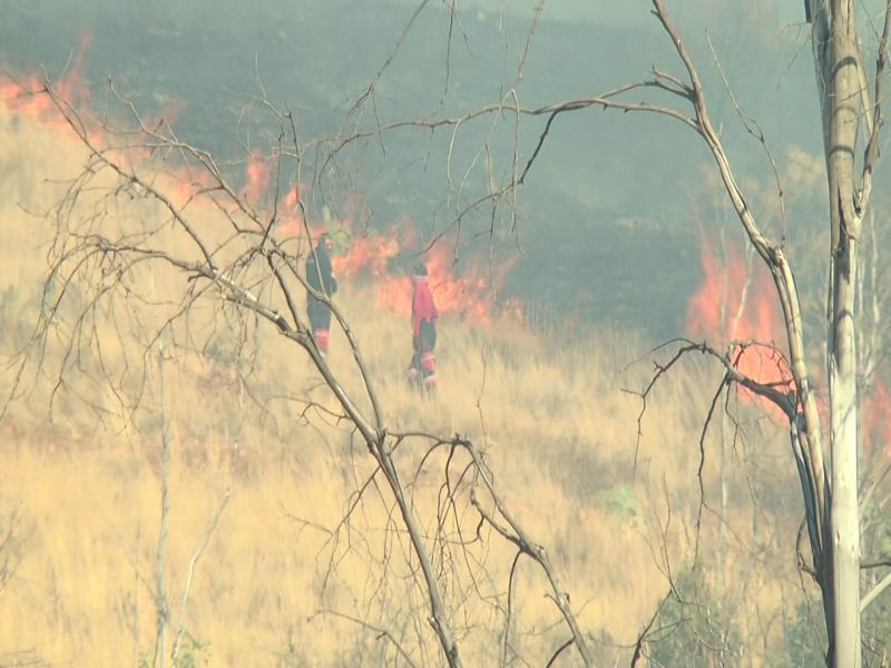 4 mil 236 hectáreas afectadas tras temporada de incendios