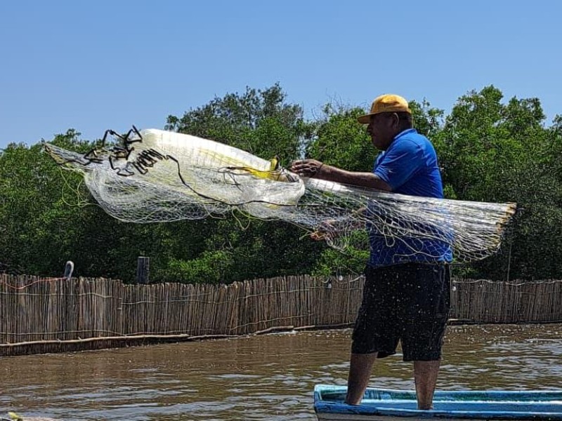 4 mil 424 pescadores recibirán el Bienpesca este mes en Mazatlán