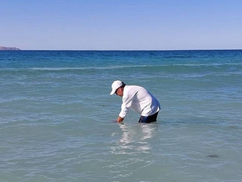 4 playas continúan con mala calidad del agua: ROC