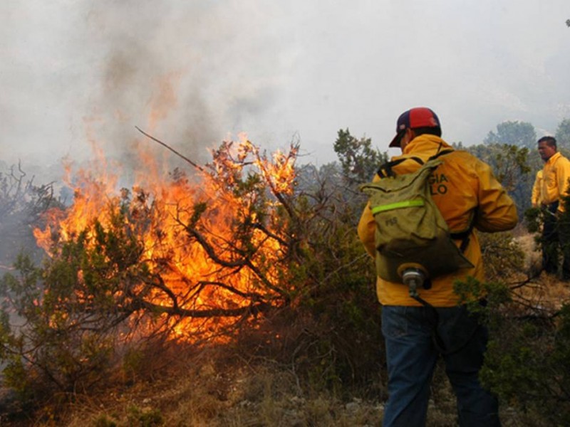 4 regiones de Chiapas propensas a incendios forestales