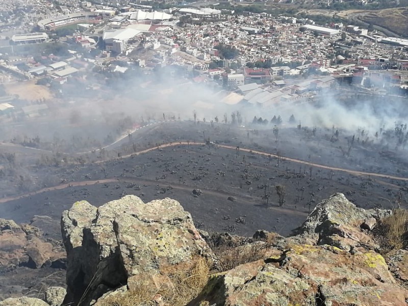 40 hectáreas resultaron afectadas en incendio de La Bufa