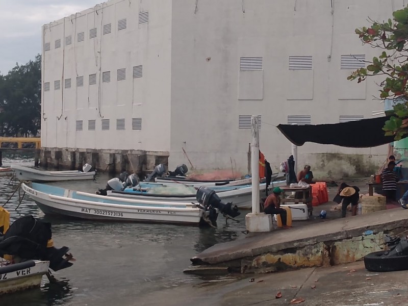 40 por ciento de pescadores sin permiso para realizar práctica