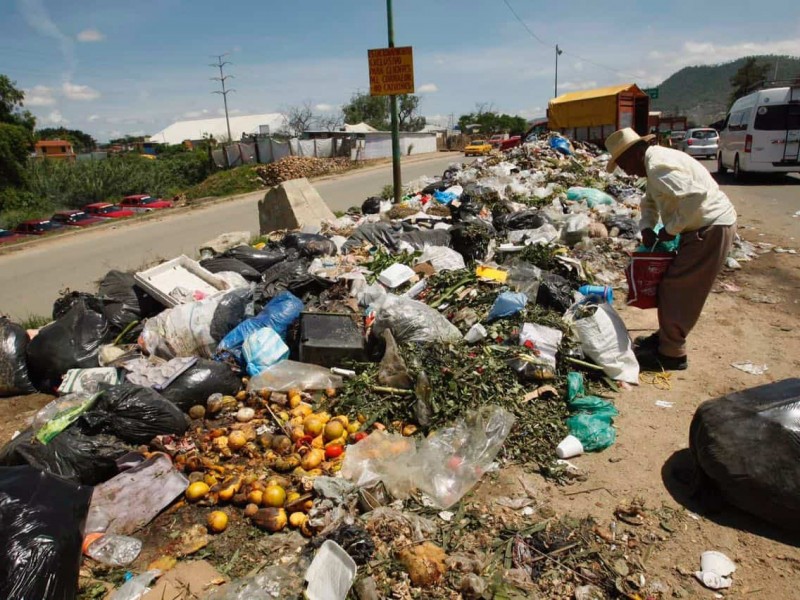 43 municipios con procedimientos en materia de residuos sólidos urbanos