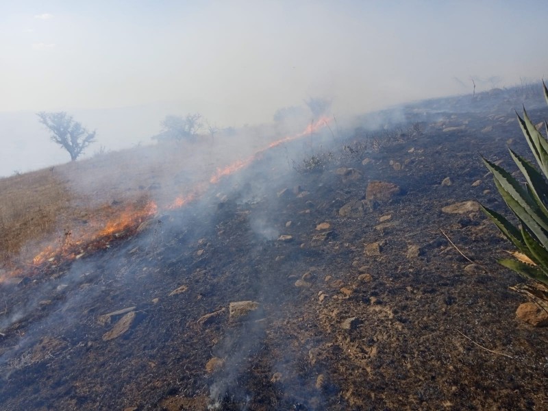 46 incendios forestales registrados en Morelia durante 3023