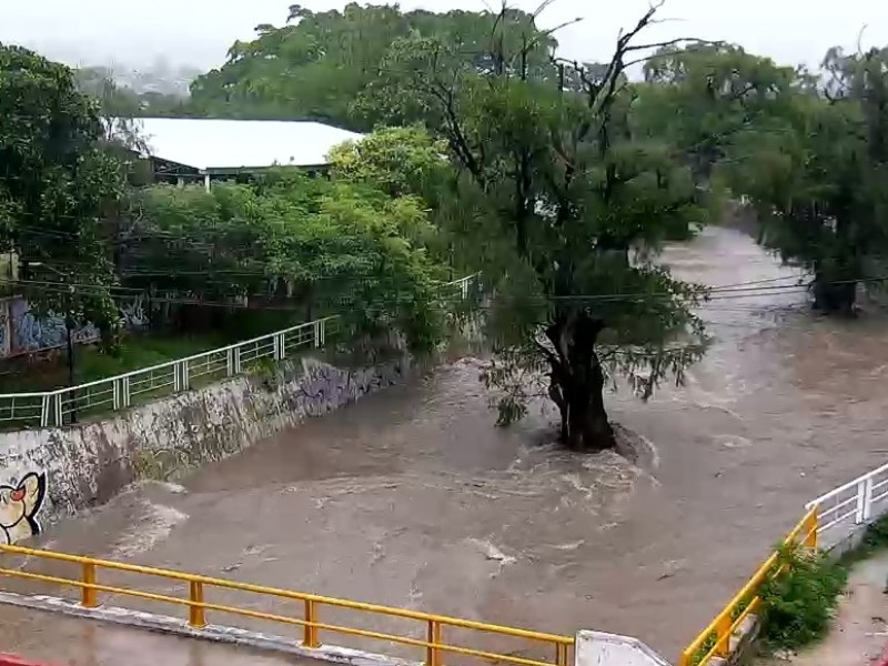 5 árboles y dos bardas colapsadas por lluvias en TGZ
