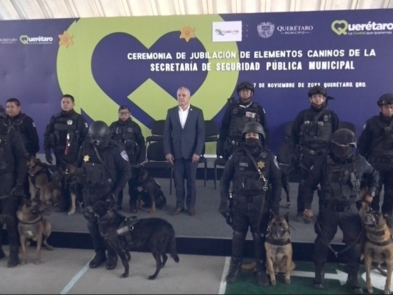 5 caninos de K9 se jubilaron de la SSPM Querétaro