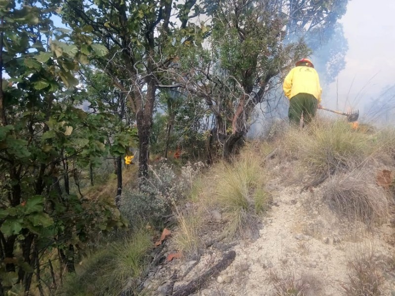 5 ha afectadas en La Primavera por incendios