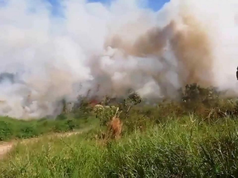 5 productores fueron afectados por incendios en Veracruz