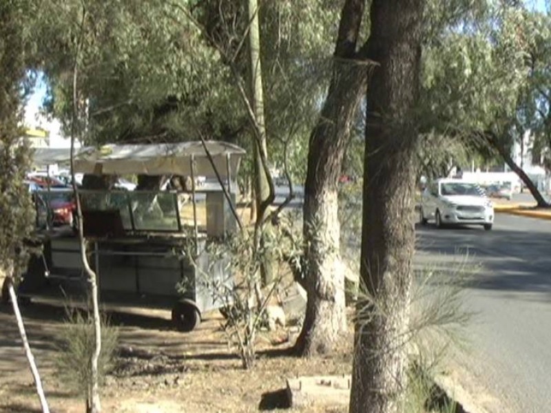 5 UMA's por estacionarse en camellones