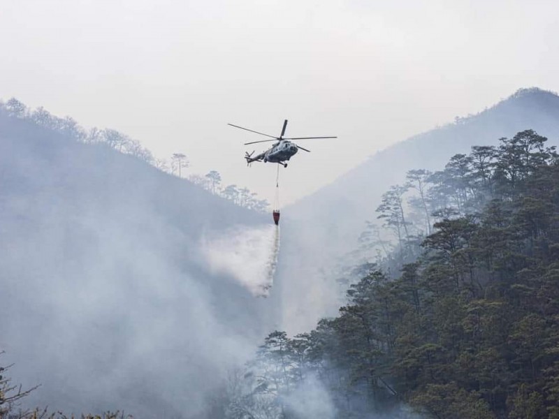 50% liquidado incendio forestal en los Chimalapas