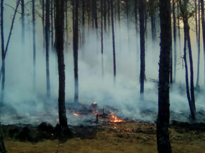 500 hectáreas afectadas por incendio en Las Vigas