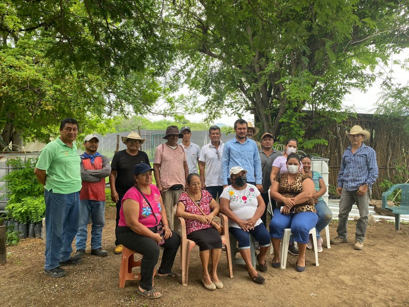 500 plantas sembradas por campaña de reforestación en Tehuantepec