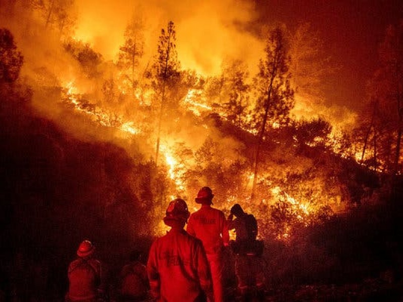 55 incendios forestales en México