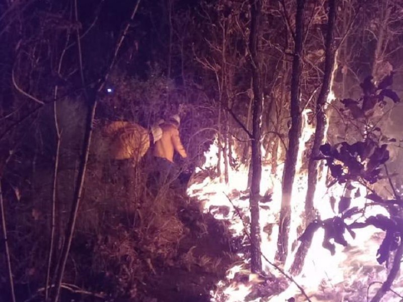 589 incendios en Toluca en tres meses